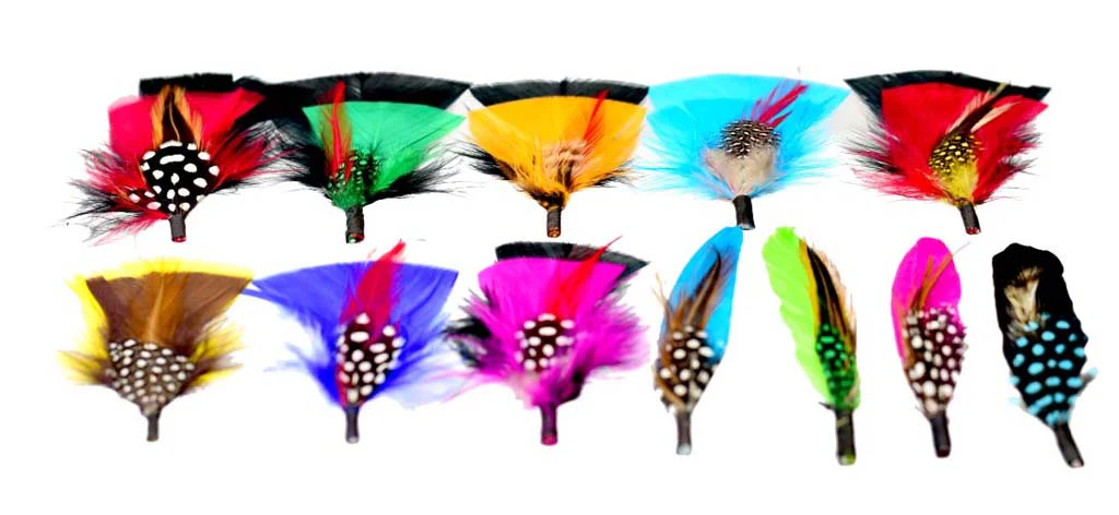 Assorted Feathers (12 Pack) - Image 3