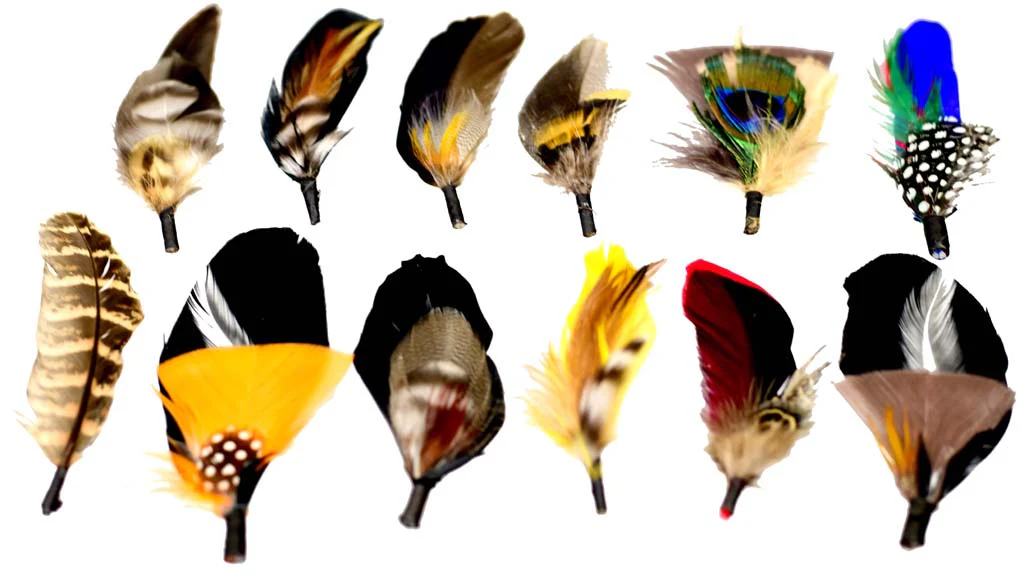 Assorted Feathers (12 Pack) - Image 4