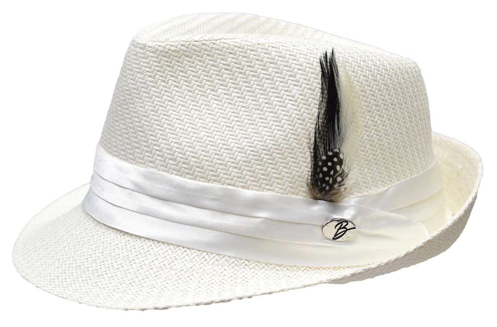 Jayden Collection - Image 3