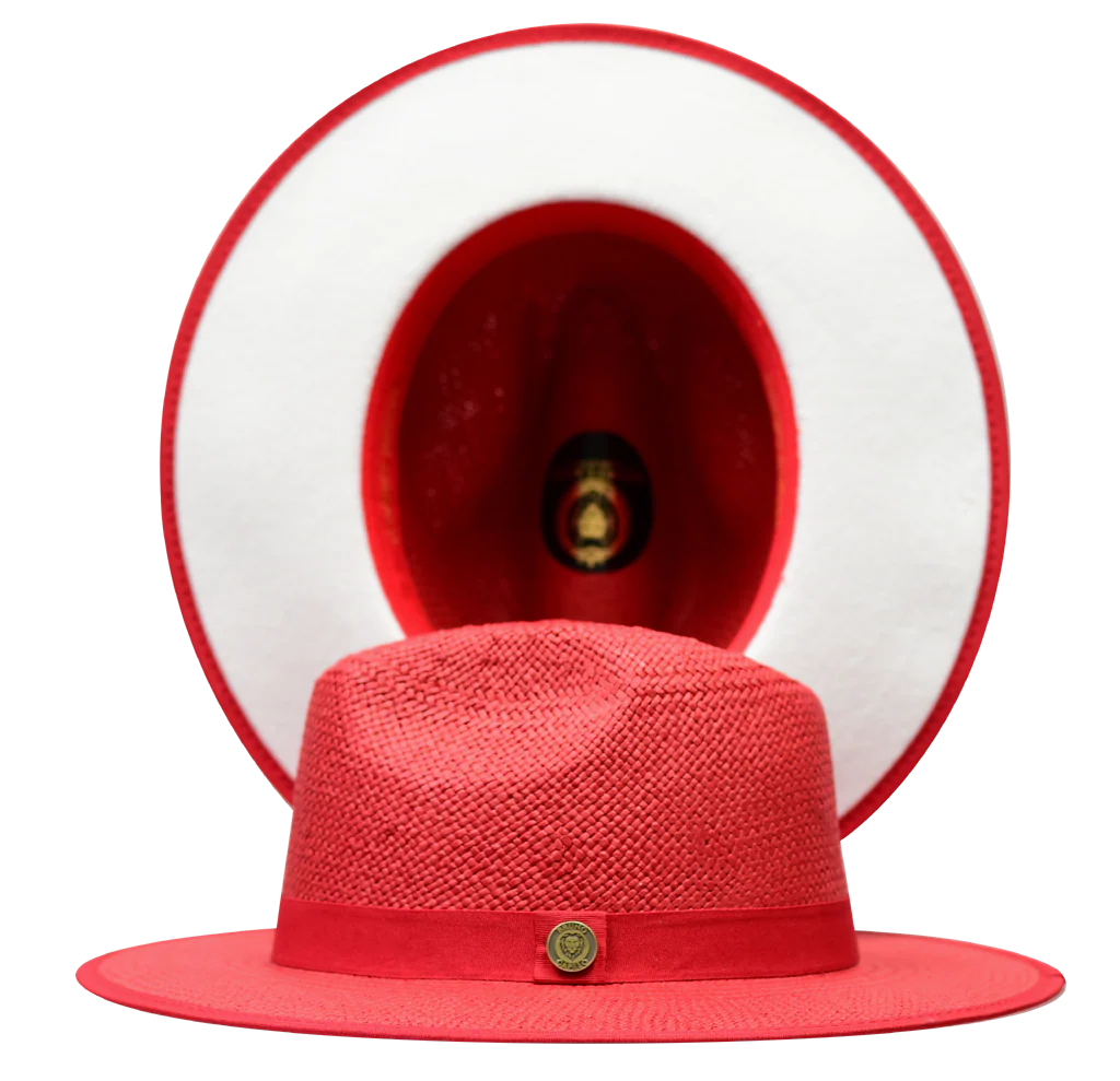 Kingdom Collection - Image 10