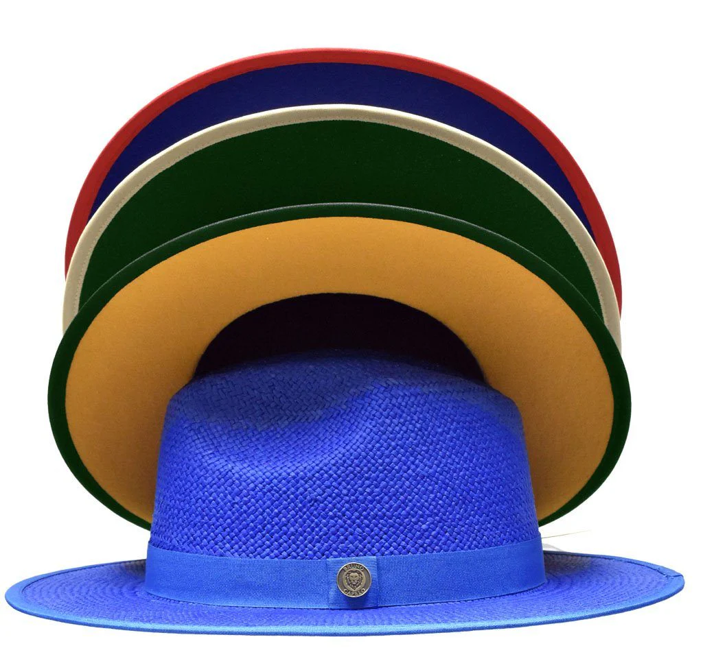 Kingdom Collection - Image 3