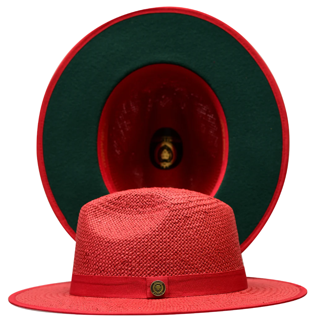 Kingdom Collection - Image 4