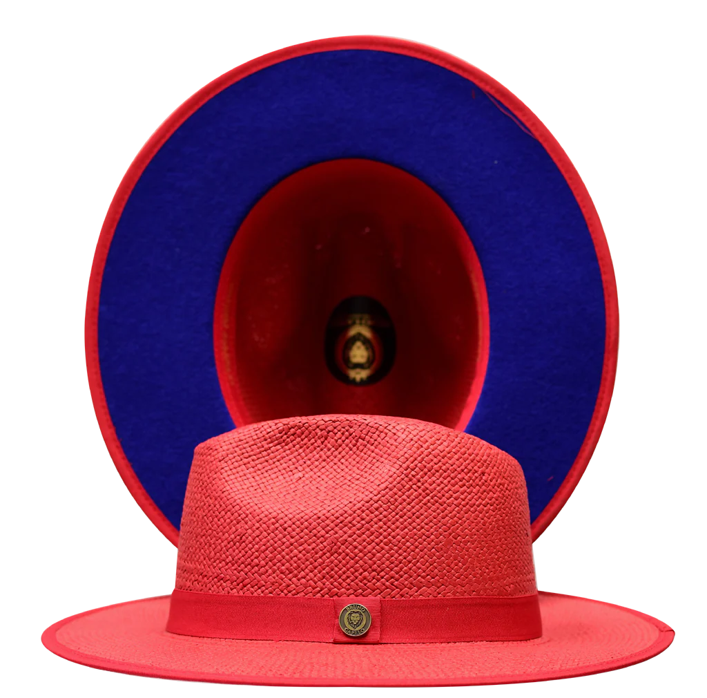 Kingdom Collection - Image 5