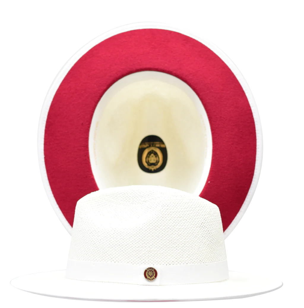 Kingdom Collection - Image 6