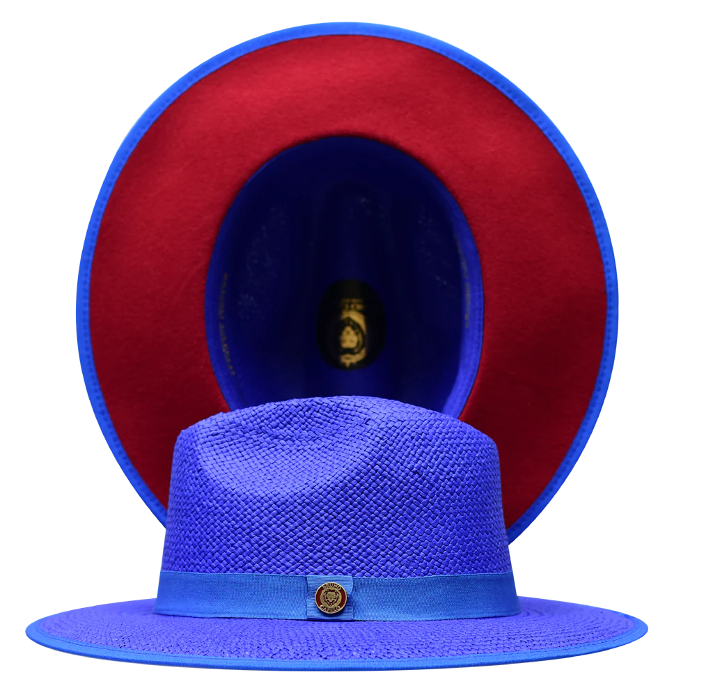 Kingdom Collection - Image 8