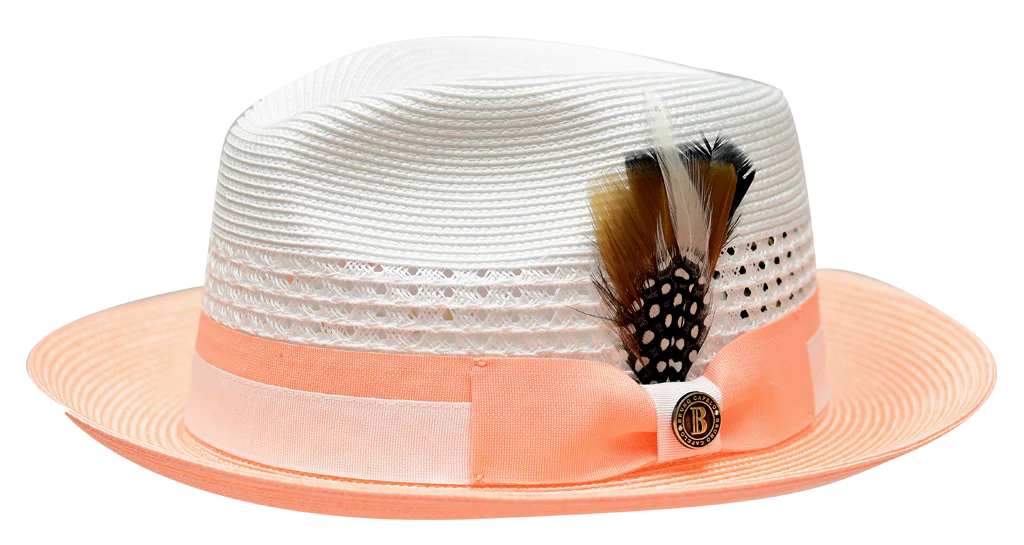 Rocco Collection - Image 5