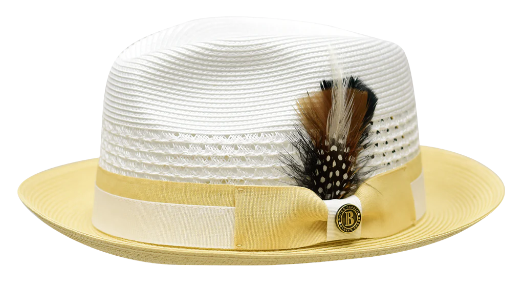 Rocco Collection - Image 6